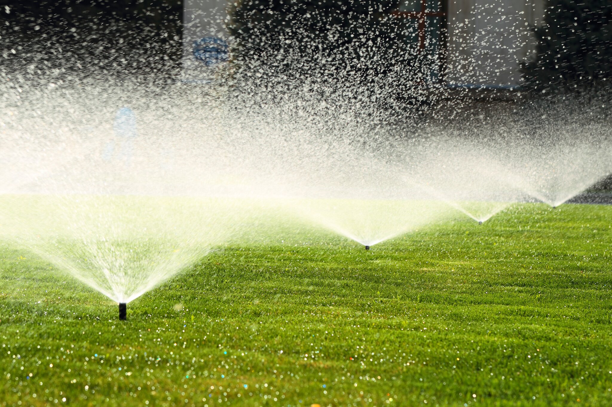 Lawn sprinklers watering grass on sunny day.
