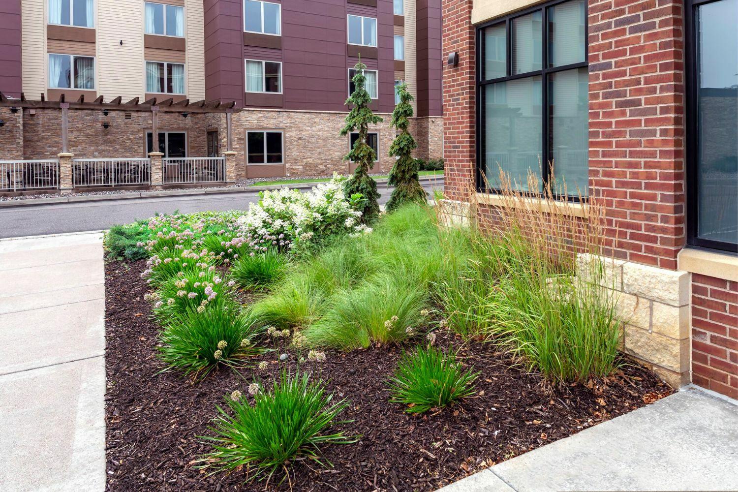 Modern building with landscaped garden and greenery.