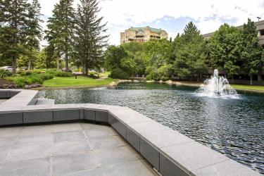Urban park with fountain and lush green trees.