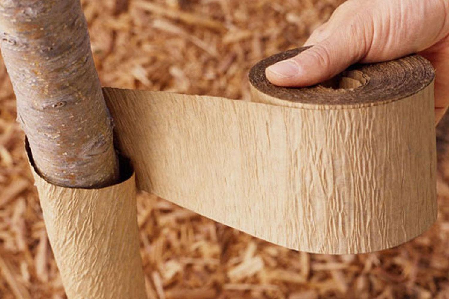 Protection for Young Trees