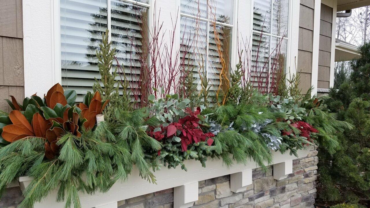 Seasonal window box filled with evergreens, magnolia leaves, and red winter stems adds natural holiday charm.