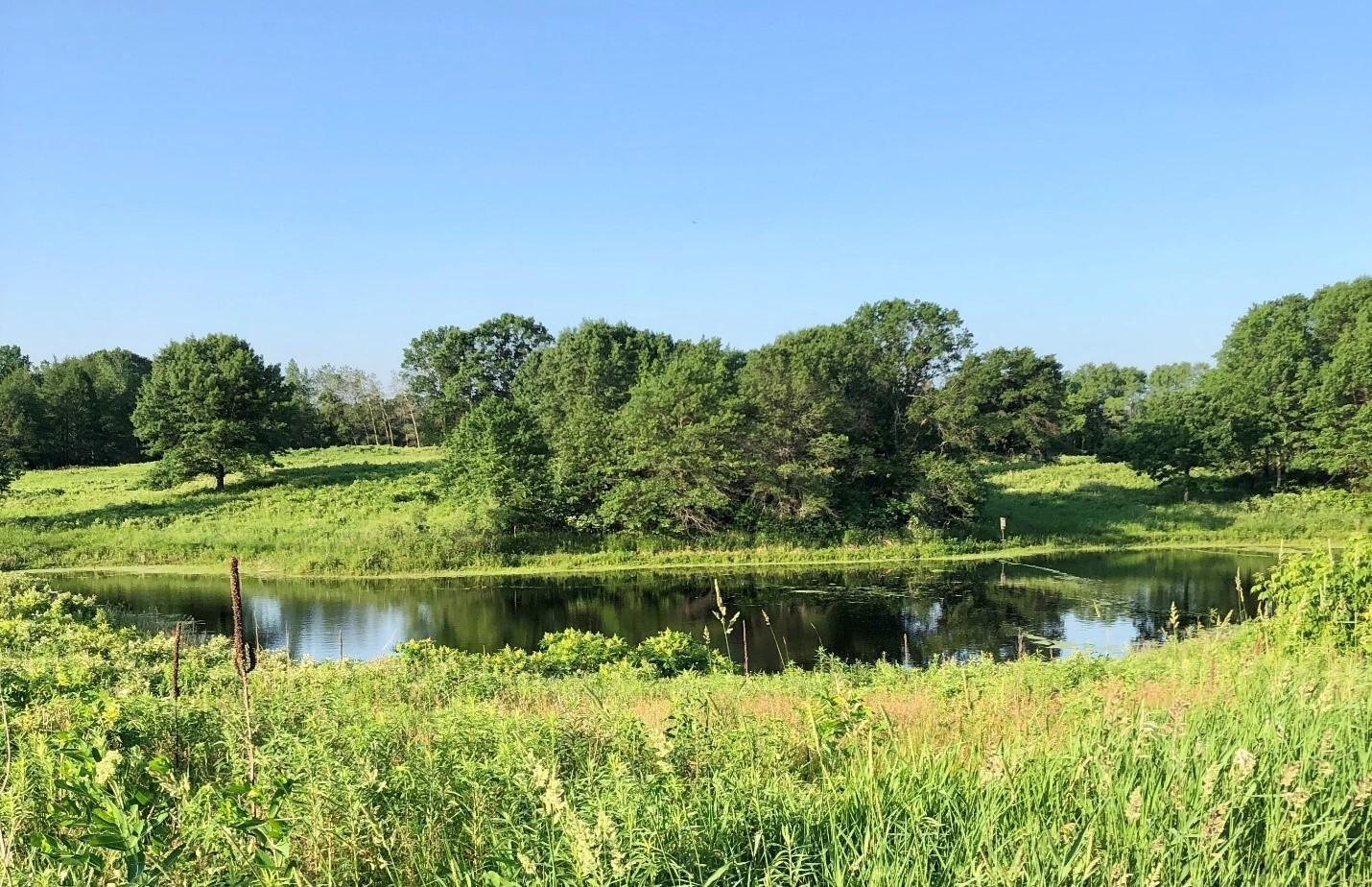Thomas Lake Native Prairie Park | Eagan Minnesota