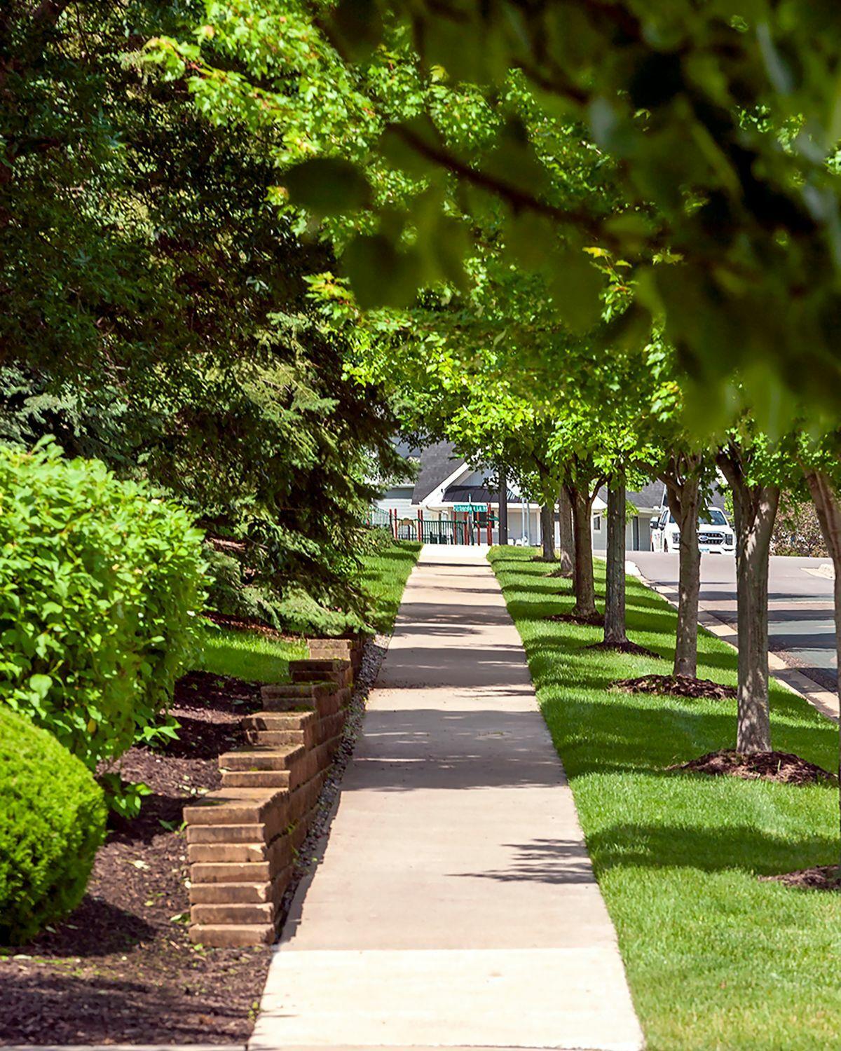 Tree-lined pathway through residential neighborhood