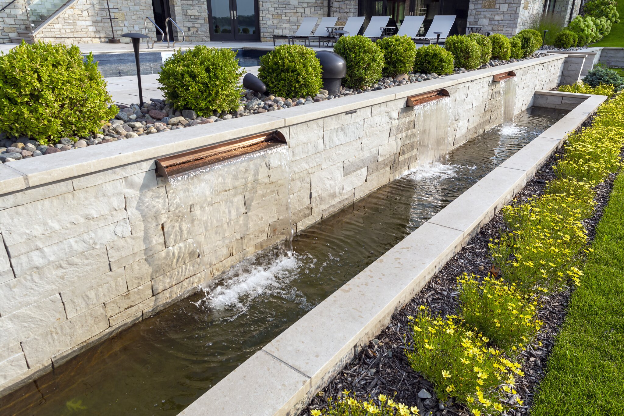 Modern garden with water feature and yellow flowers.