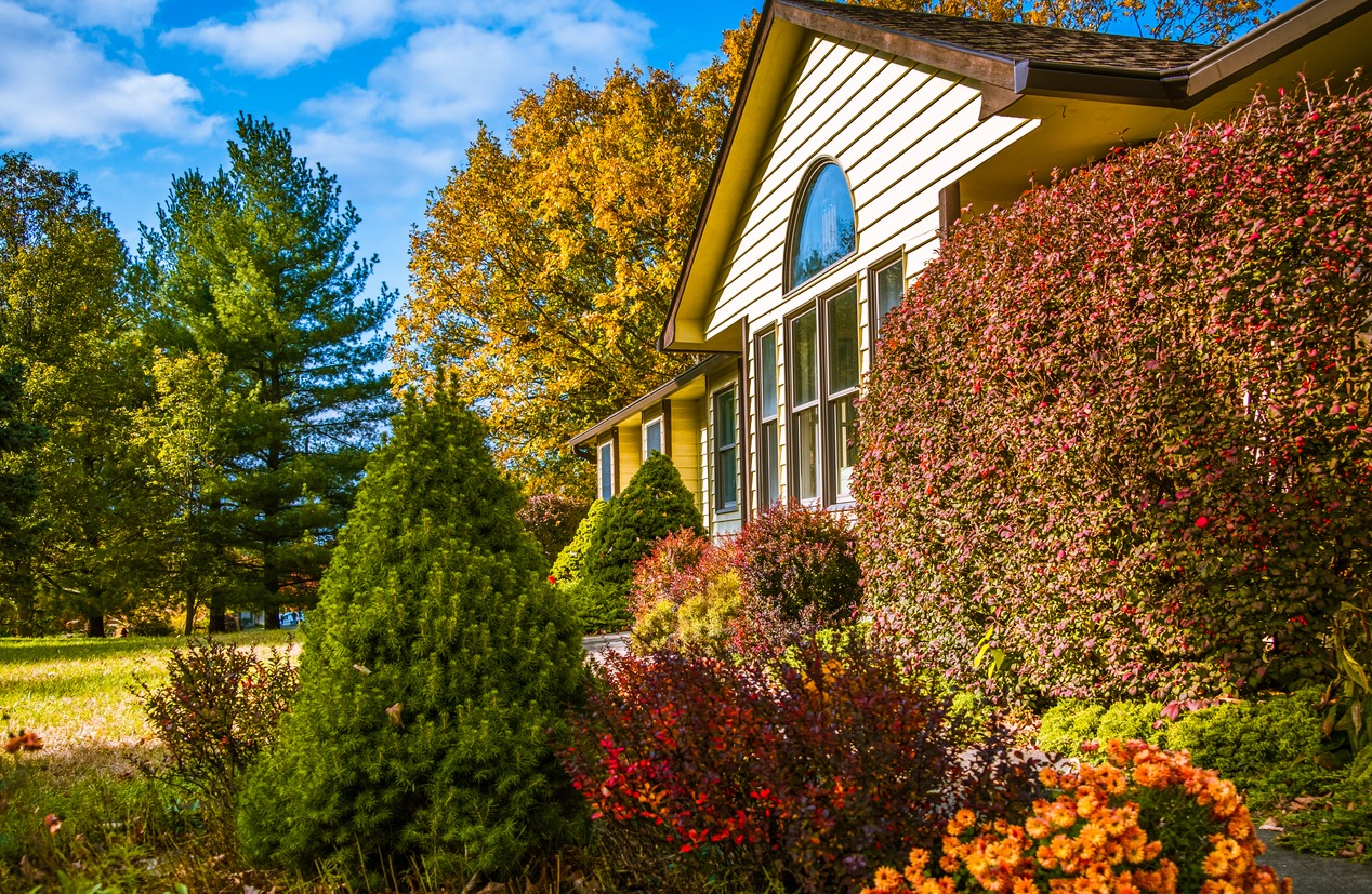 Cozy house with colorful autumn foliage landscape.