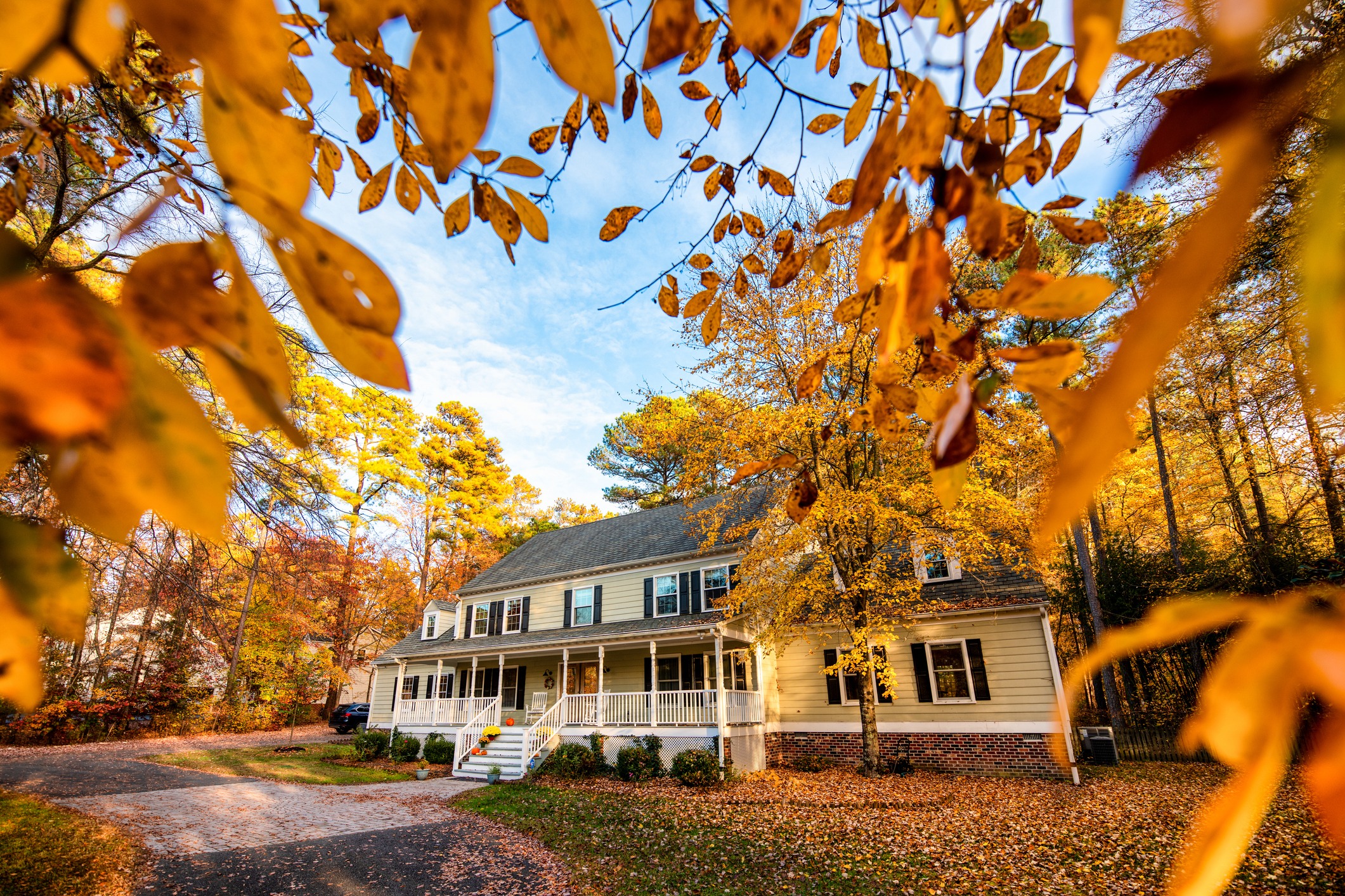 House surrounded by autumn leaves and trees.