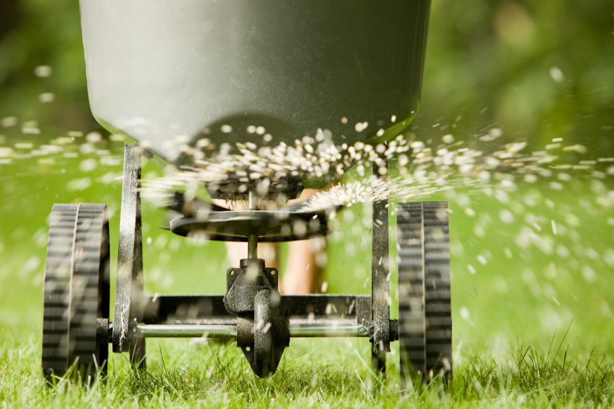 Lawn spreader distributing fertilizer on grass.