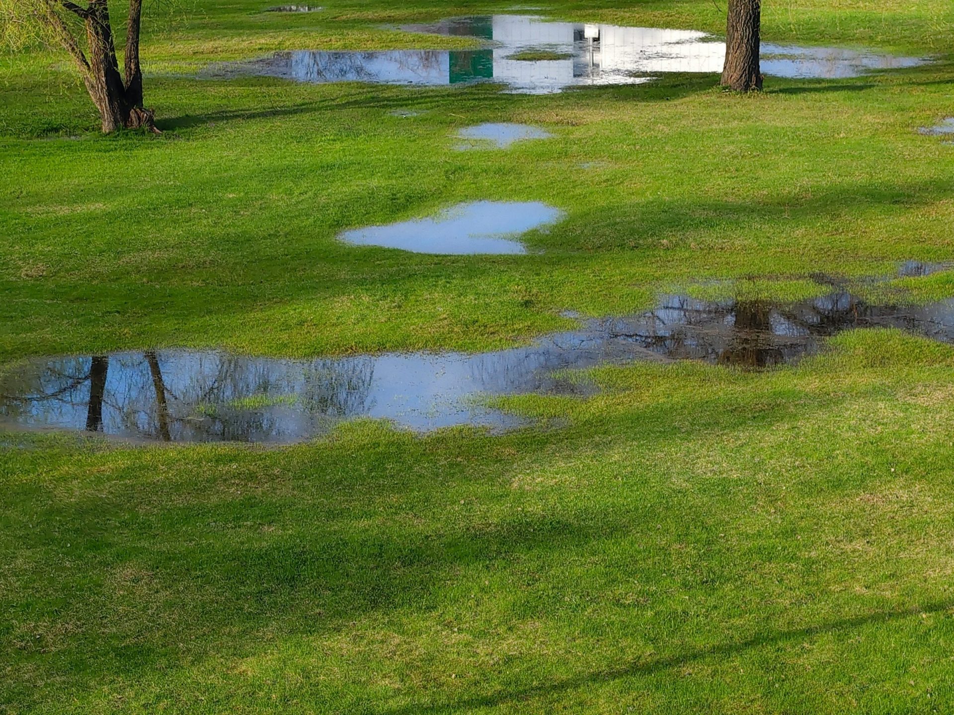 Puddle reflections on grassy field after rain.