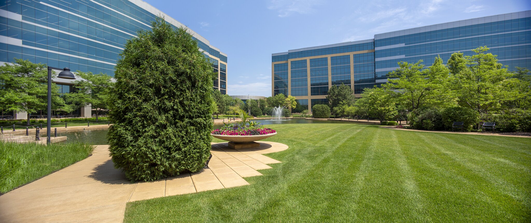 Corporate campus with green lawn and modern buildings.