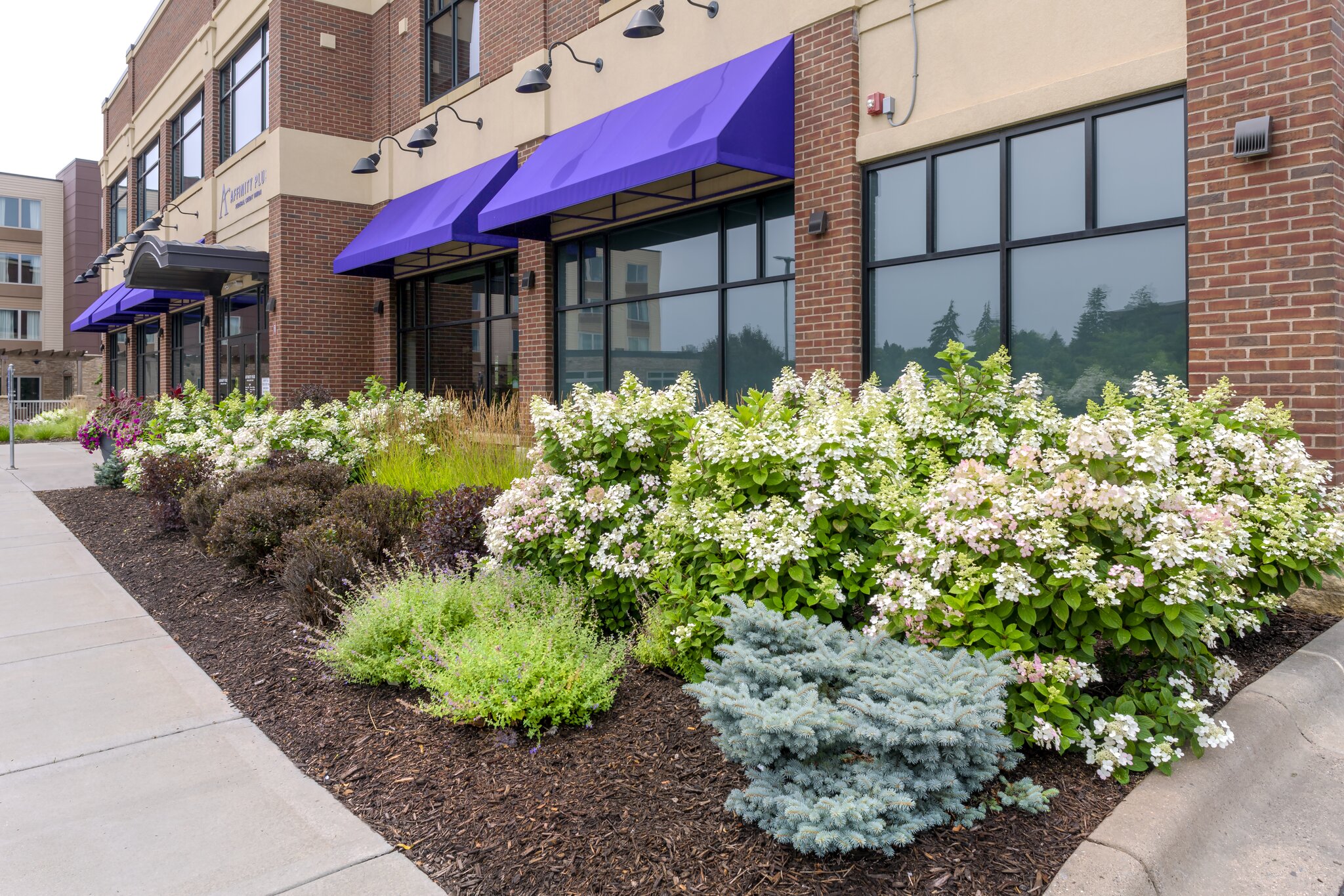 Building facade with purple awnings and landscaped flowers.