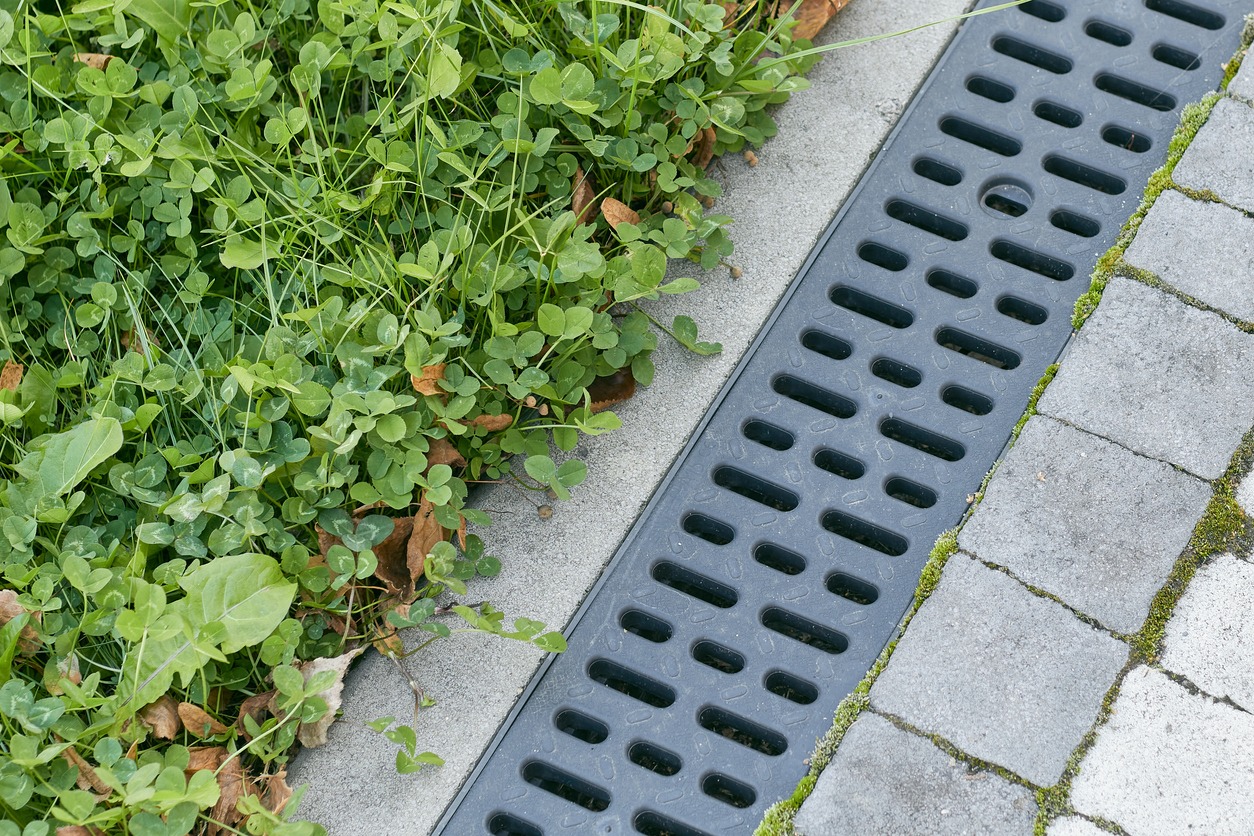 Grass and drain on concrete and stone pavement.