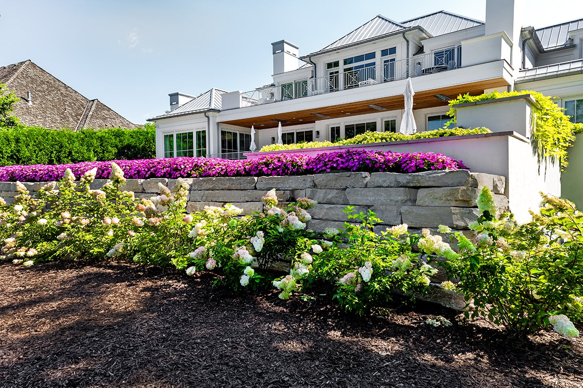 Beautiful garden with colorful flowers and modern house.