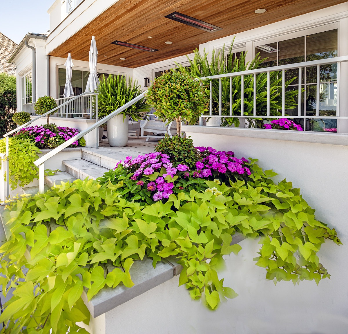 Exterior stairs with vibrant flowers and greenery.