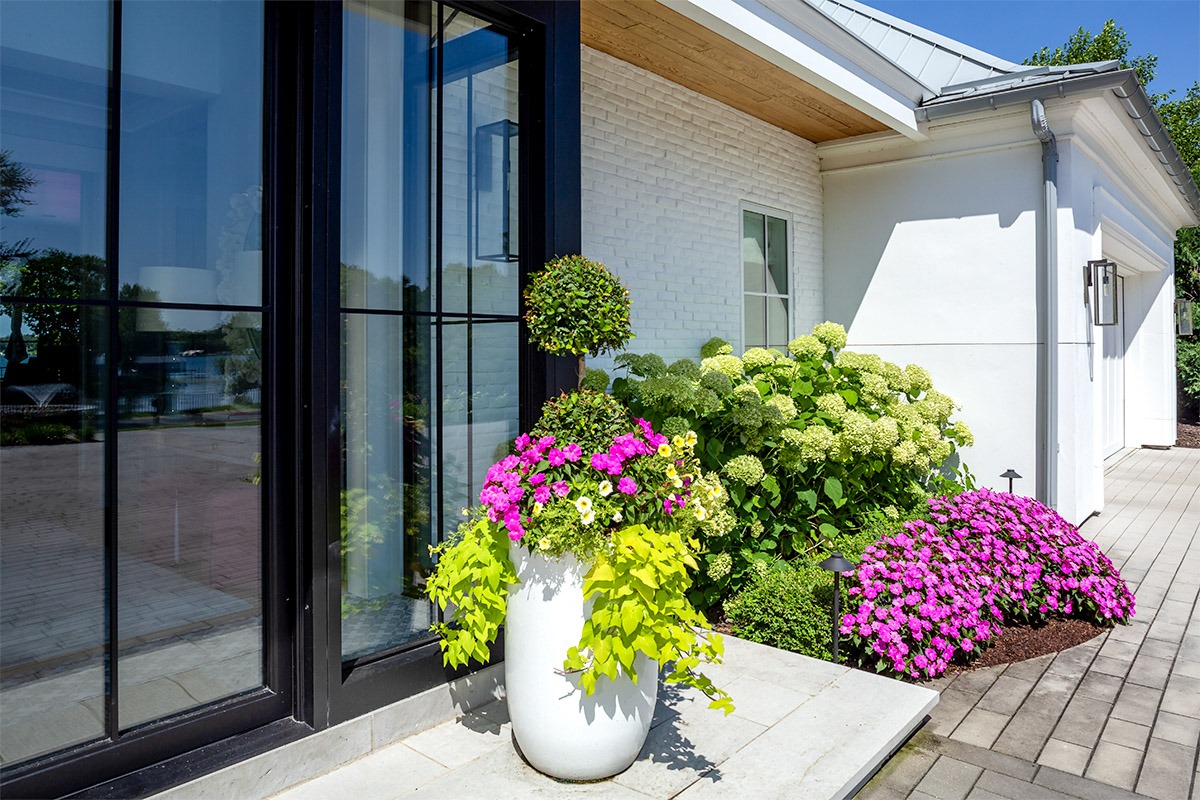 Modern house entrance with vibrant garden flowers